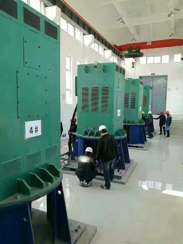 YKK630-10某污水处理厂使用我厂的立式高压电机安装现场